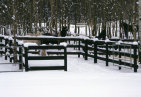 glen_valley_farm_web_site003004.jpg