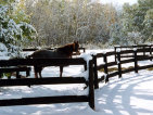 glen_valley_farm_web_site003005.jpg